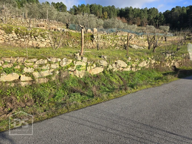 Terreno para Venda em Castelo Foto 19