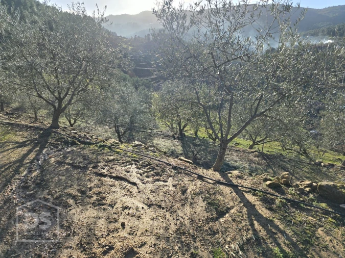 Terreno para Venda em Castelo Foto 25