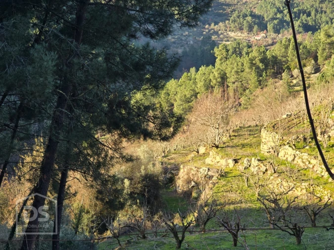 Terreno para Venda em Castelo Foto 5
