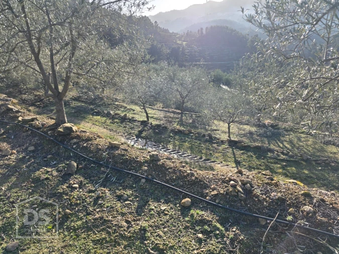 Terreno para Venda em Castelo Foto 22