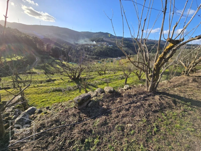 Terreno para Venda em Castelo Foto 13