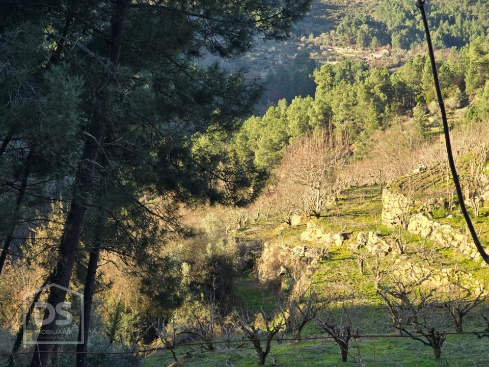 Terreno para Venda em Castelo Foto 5