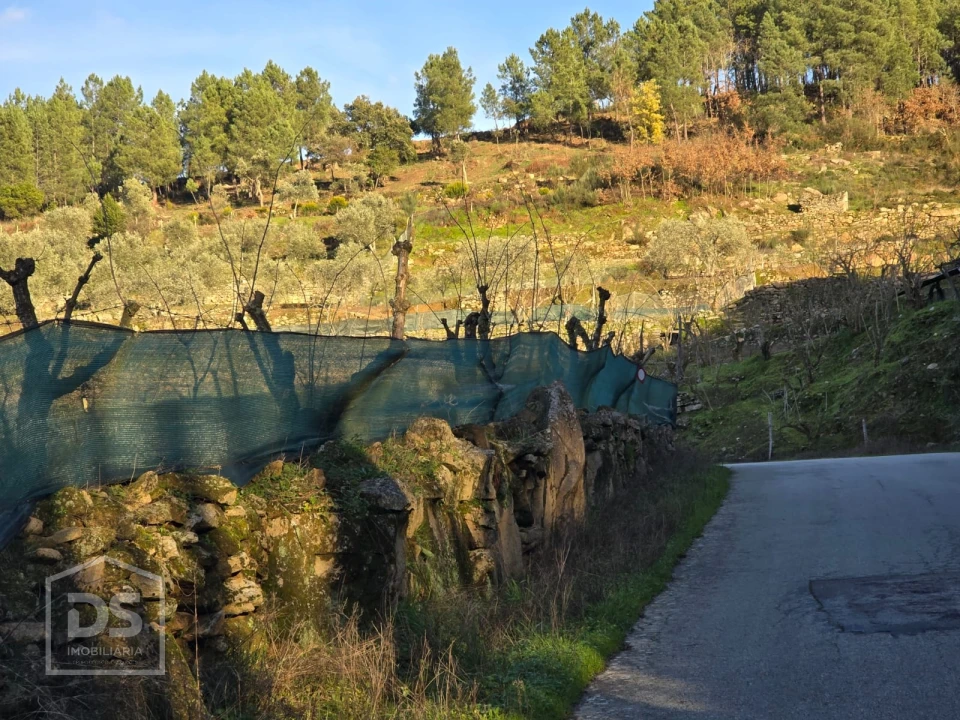 Terreno para Venda em Castelo Foto 2