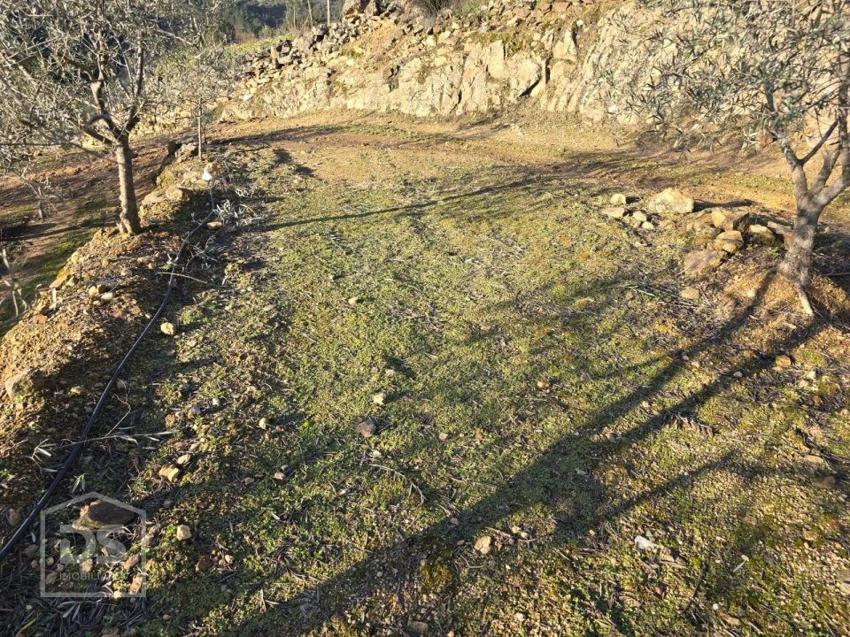 Terreno para Venda em Castelo Foto 24