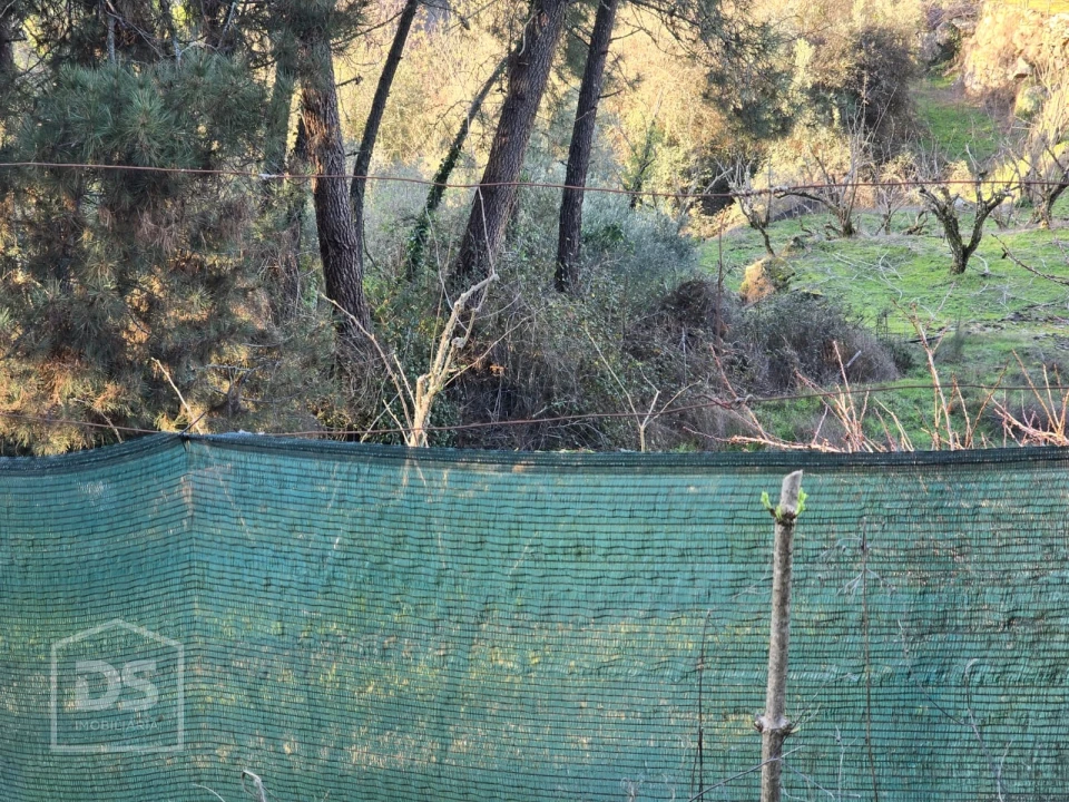Terreno para Venda em Castelo Foto 6