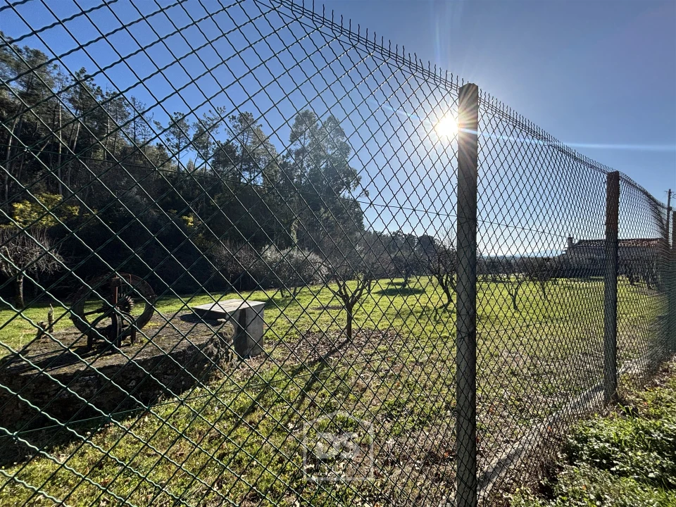 Terreno Misto para Venda em Mundão Foto 14