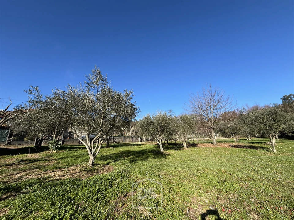 Terreno Misto para Venda em Mundão Foto 20
