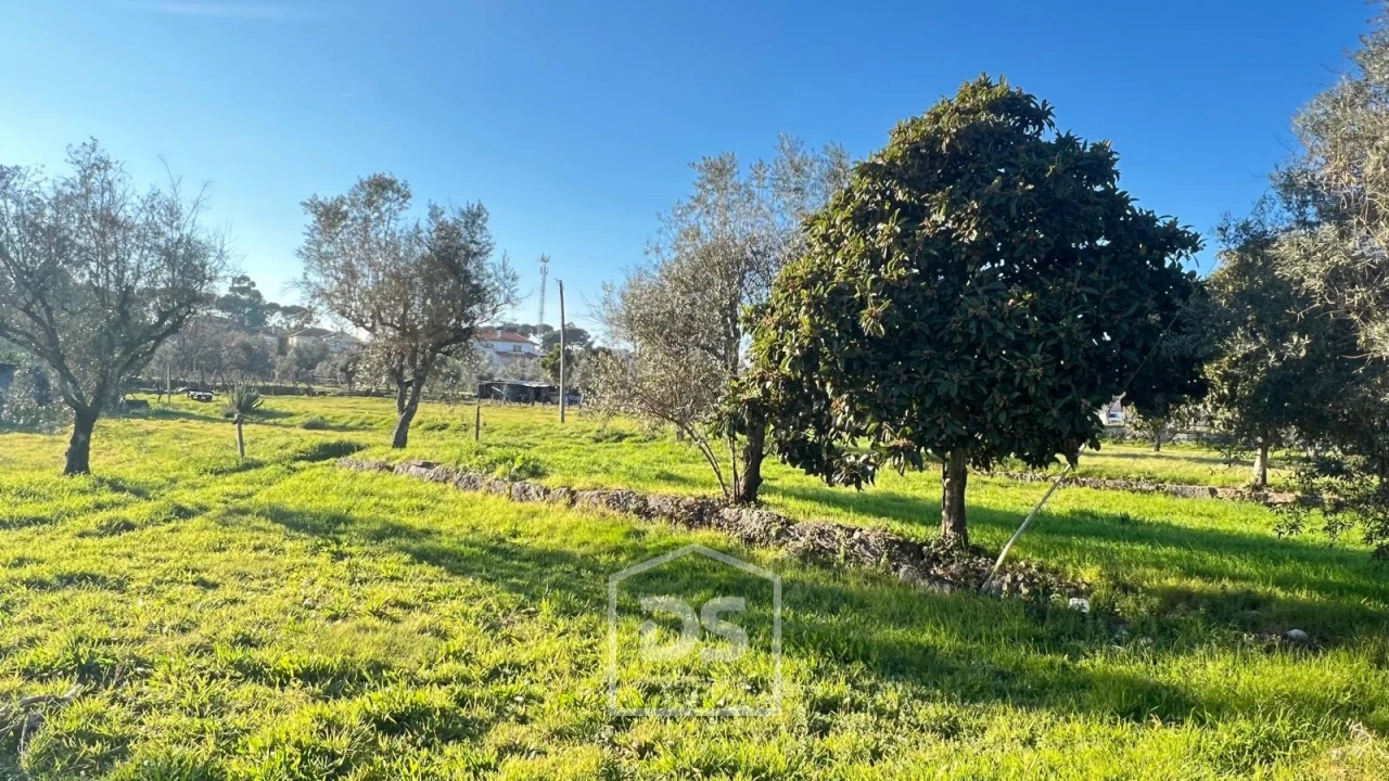 Terreno Misto para Venda em Mundão Foto 13