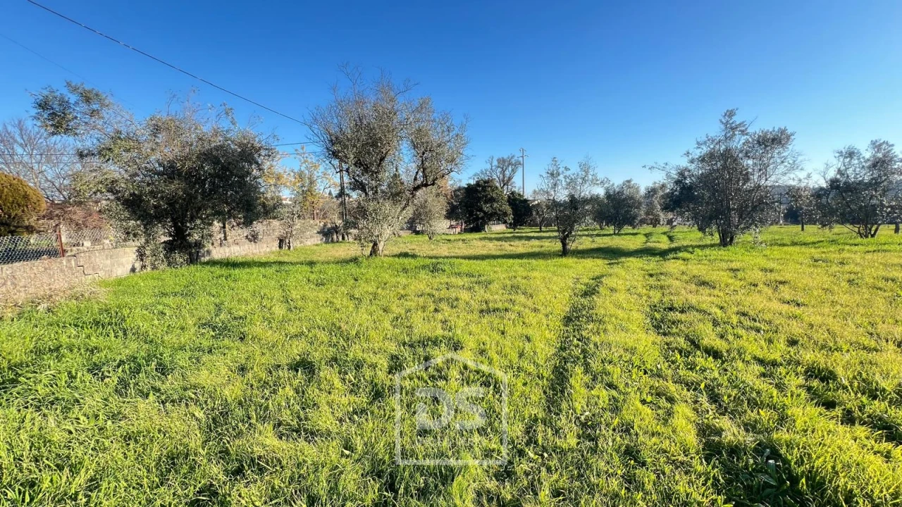 Terreno Misto para Venda em Mundão Foto 5