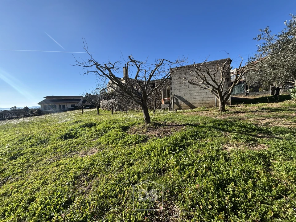 Terreno Misto para Venda em Mundão Foto 21