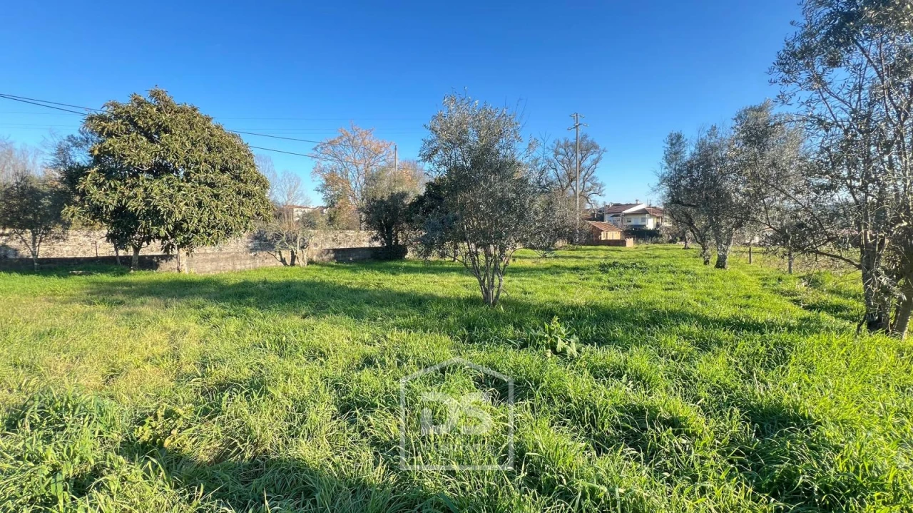 Terreno Misto para Venda em Mundão Foto 10