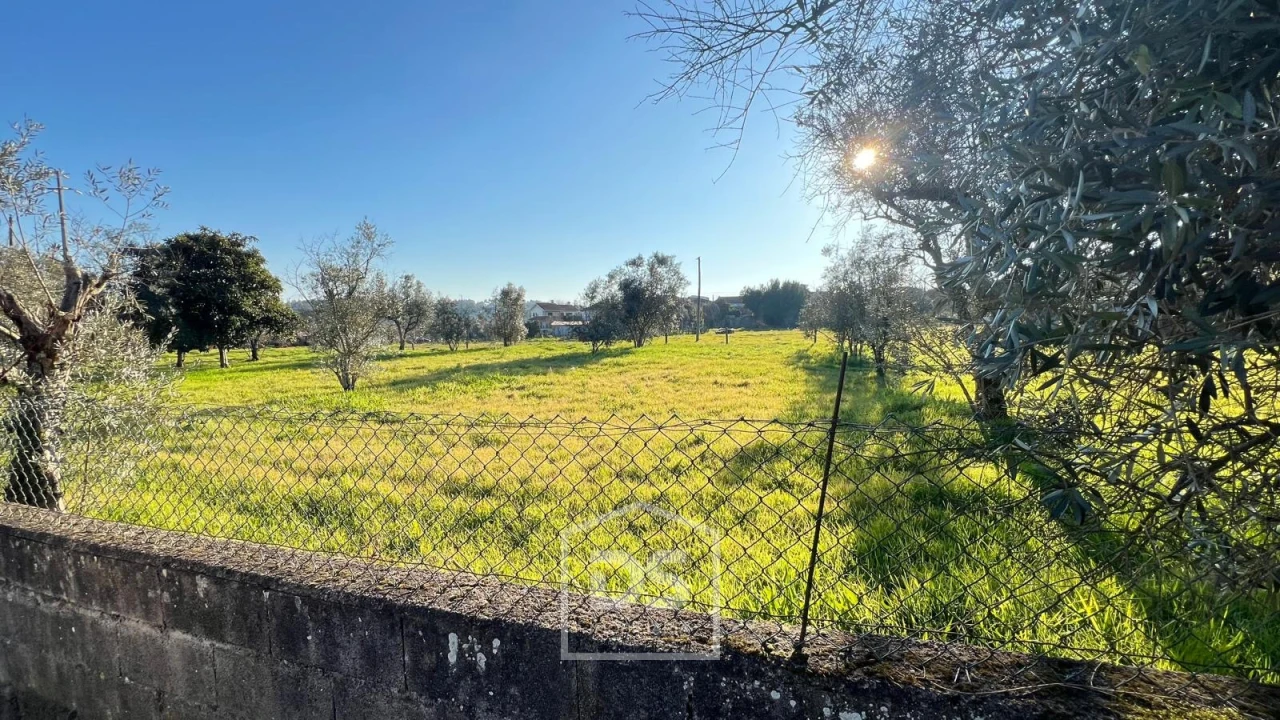 Terreno Misto para Venda em Mundão Foto 4