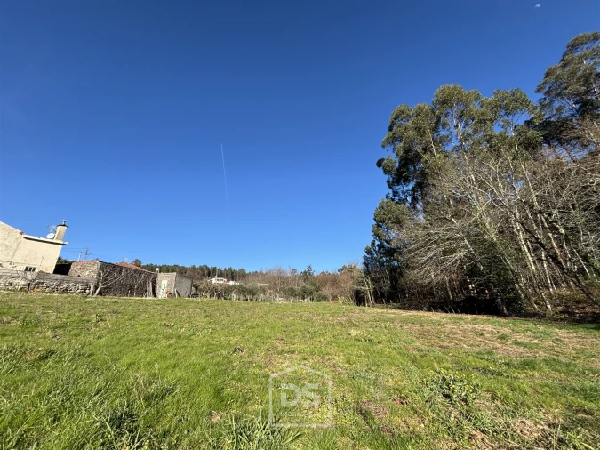 Terreno Misto para Venda em Mundão Foto 18