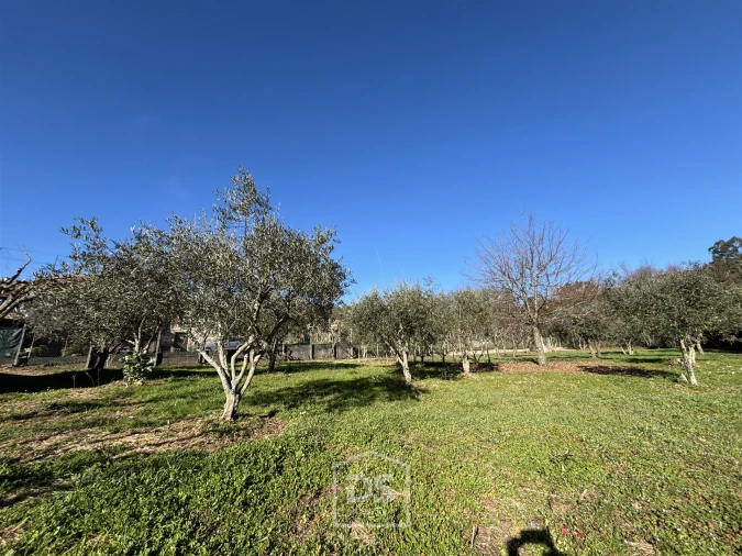 Terreno Misto para Venda em Mundão Foto 20