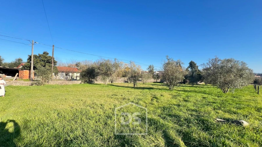 Terreno Misto para Venda em Mundão Foto 12