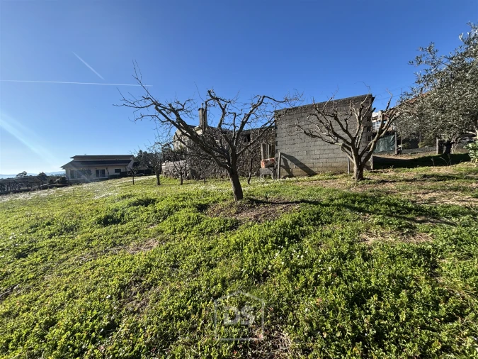 Terreno Misto para Venda em Mundão Foto 21