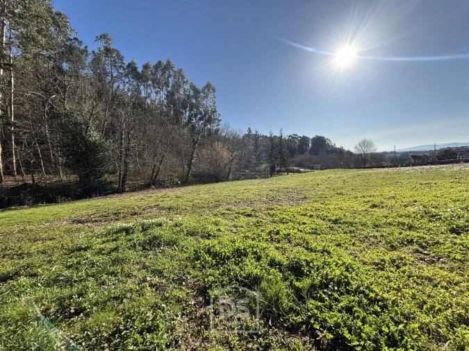 Terreno Misto para Venda em Mundão Foto 2