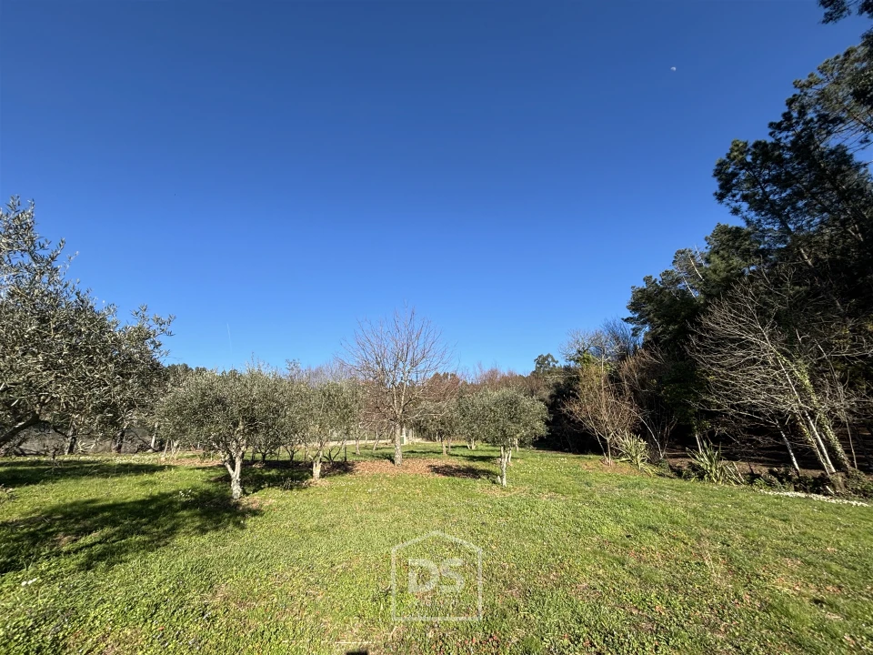 Terreno Misto para Venda em Mundão Foto 3