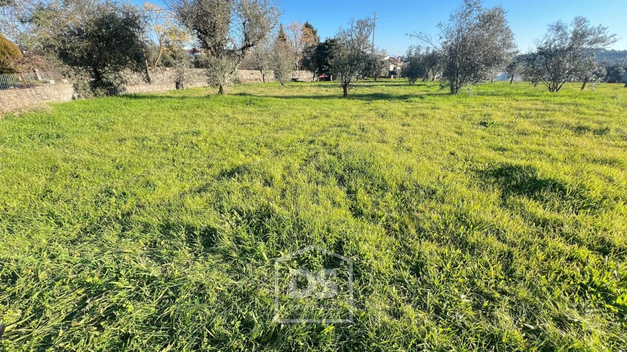 Terreno Misto para Venda em Mundão Foto 6
