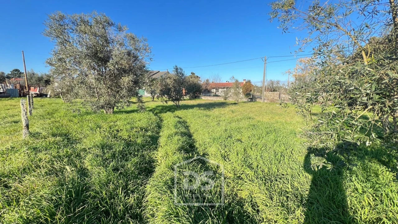 Terreno Misto para Venda em Mundão Foto 8
