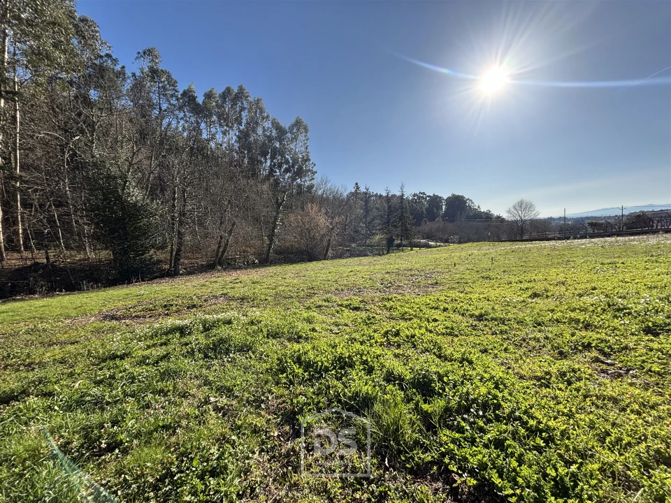 Terreno Misto para Venda em Mundão Foto 2