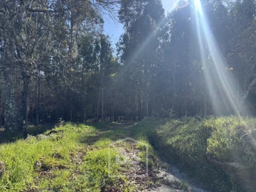 Terreno para Venda em Mundão