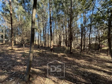 Terreno para Venda em Mundão