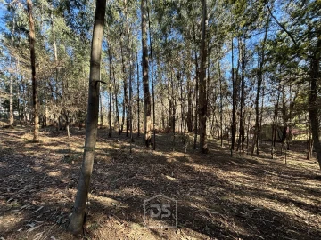 Terreno para Venda em Mundão
