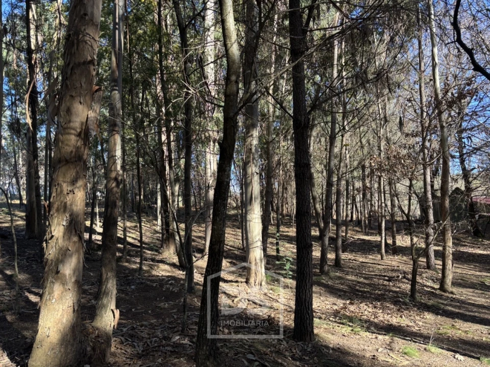Terreno para Venda em Mundão Foto 11
