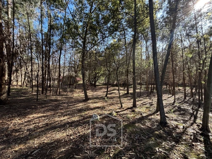 Terreno para Venda em Mundão Foto 4
