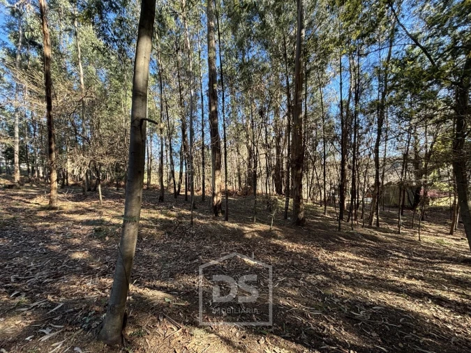 Terreno para Venda em Mundão Foto 2