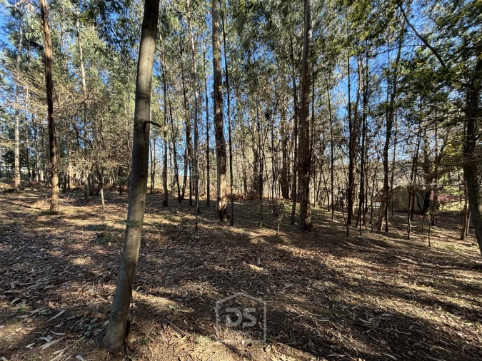 Terreno para Venda em Mundão Foto 3