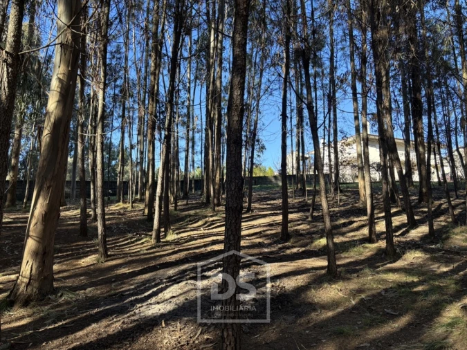 Terreno para Venda em Mundão Foto 10