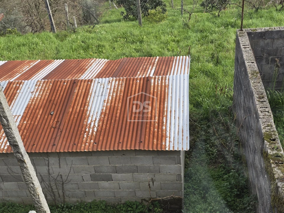 Terreno Misto para Venda em São Pedro do Sul, Várzea e Baiões Foto 48