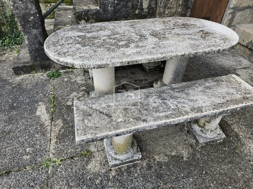 Terreno Misto para Venda em São Pedro do Sul, Várzea e Baiões Foto 34