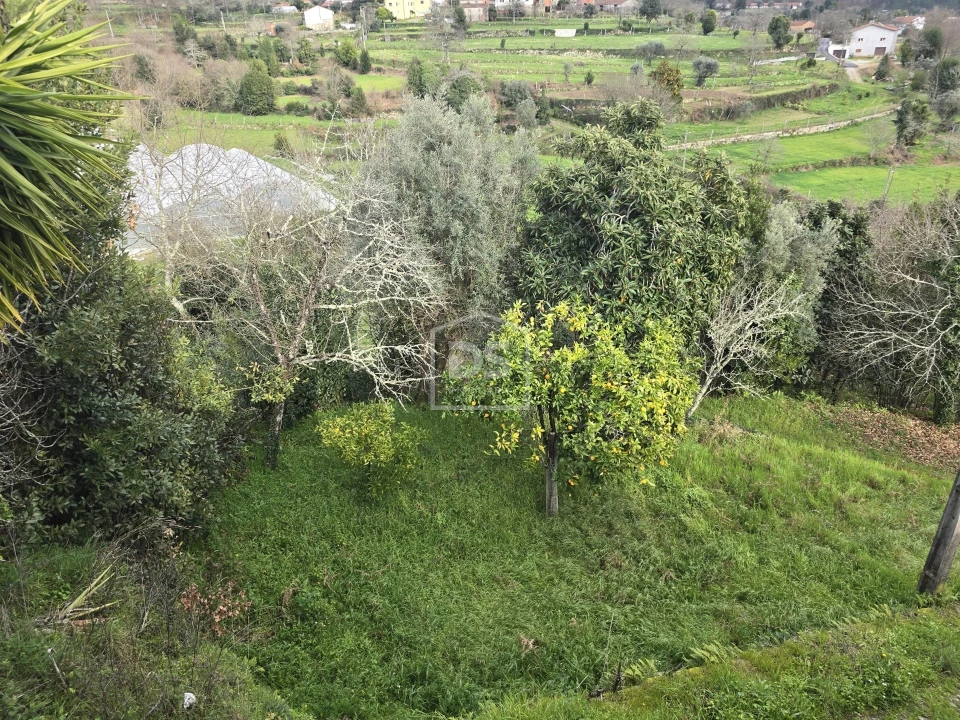 Terreno Misto para Venda em São Pedro do Sul, Várzea e Baiões Foto 40