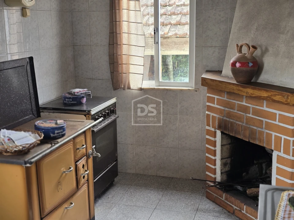 Terreno Misto para Venda em São Pedro do Sul, Várzea e Baiões Foto 47