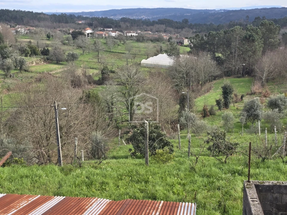 Terreno Misto para Venda em São Pedro do Sul, Várzea e Baiões Foto 49