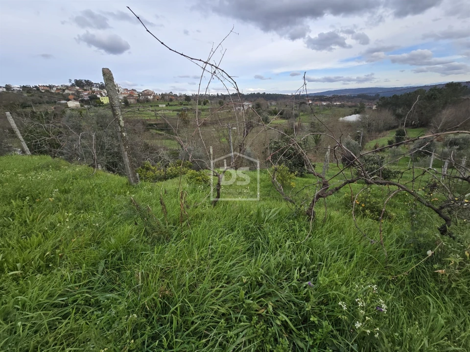 Terreno Misto para Venda em São Pedro do Sul, Várzea e Baiões Foto 23