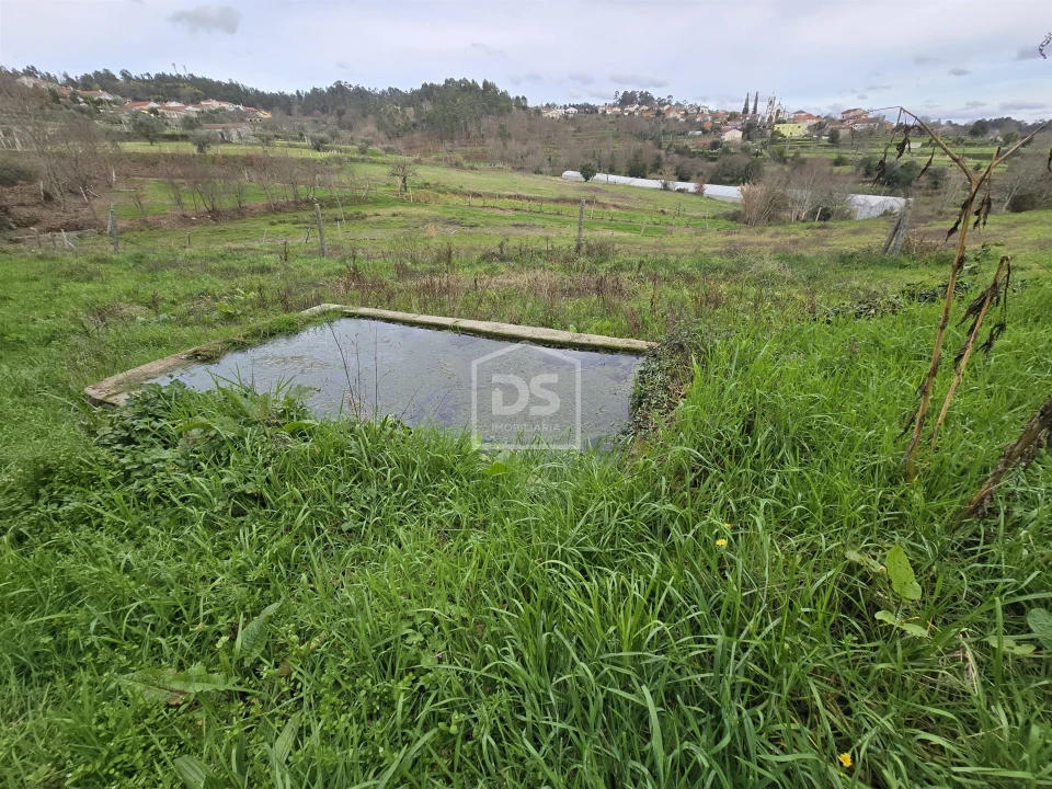 Terreno Misto para Venda em São Pedro do Sul, Várzea e Baiões Foto 7