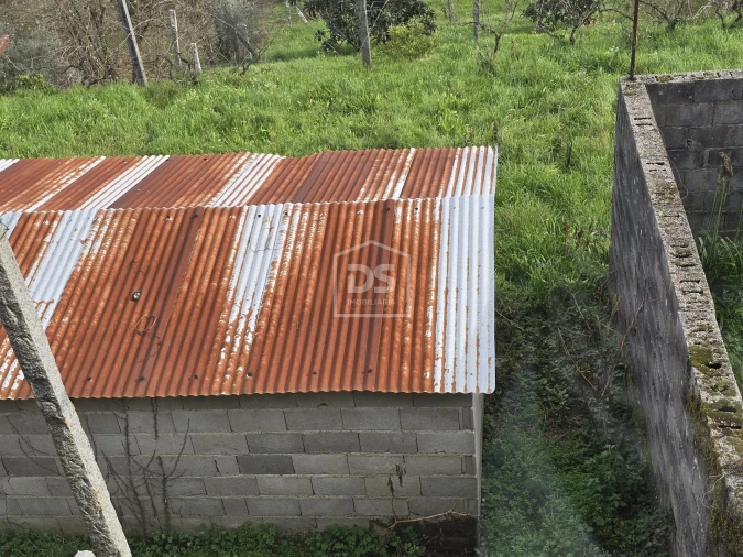 Terreno Misto para Venda em São Pedro do Sul, Várzea e Baiões Foto 48