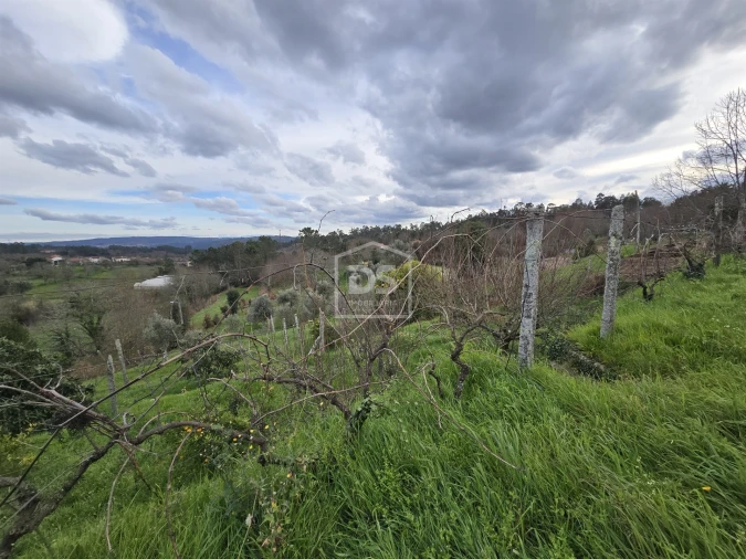 Terreno Misto para Venda em São Pedro do Sul, Várzea e Baiões Foto 24