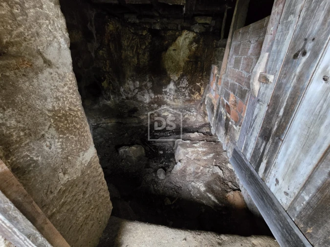 Terreno Misto para Venda em São Pedro do Sul, Várzea e Baiões Foto 15