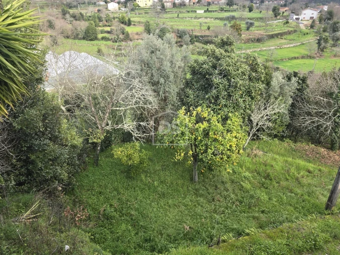 Terreno Misto para Venda em São Pedro do Sul, Várzea e Baiões Foto 40