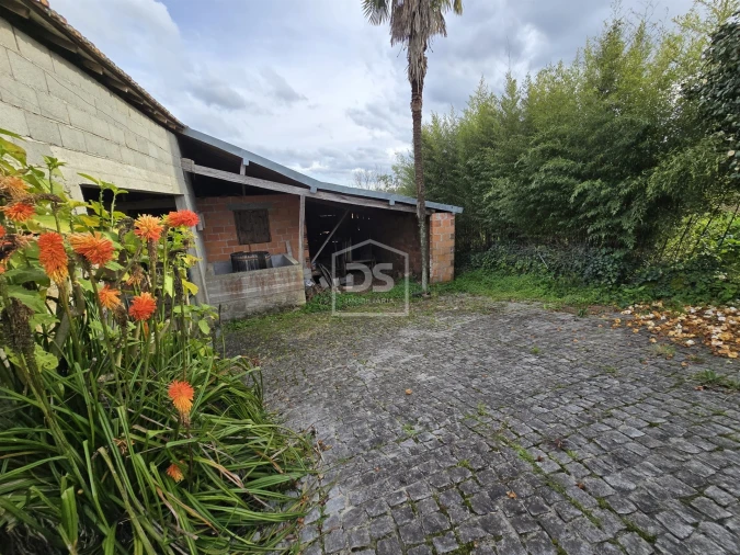 Terreno Misto para Venda em São Pedro do Sul, Várzea e Baiões Foto 14
