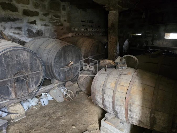Terreno Misto para Venda em São Pedro do Sul, Várzea e Baiões Foto 36