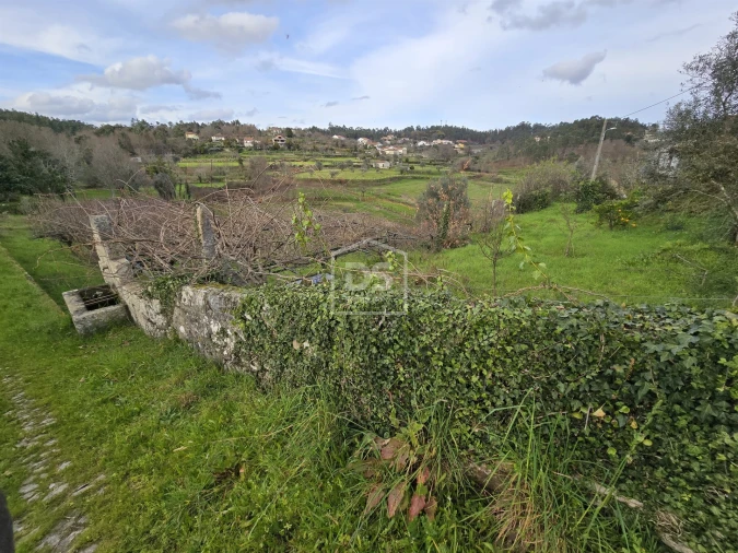 Terreno Misto para Venda em São Pedro do Sul, Várzea e Baiões Foto 10