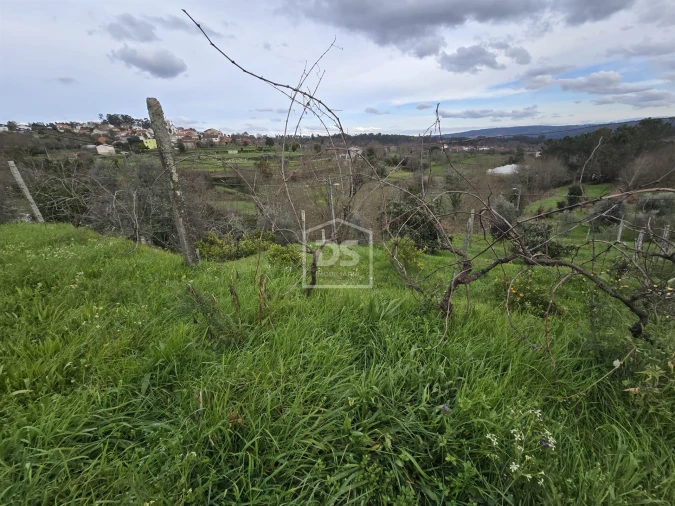 Terreno Misto para Venda em São Pedro do Sul, Várzea e Baiões Foto 23