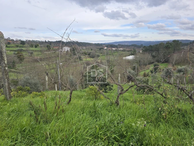 Terreno Misto para Venda em São Pedro do Sul, Várzea e Baiões Foto 27