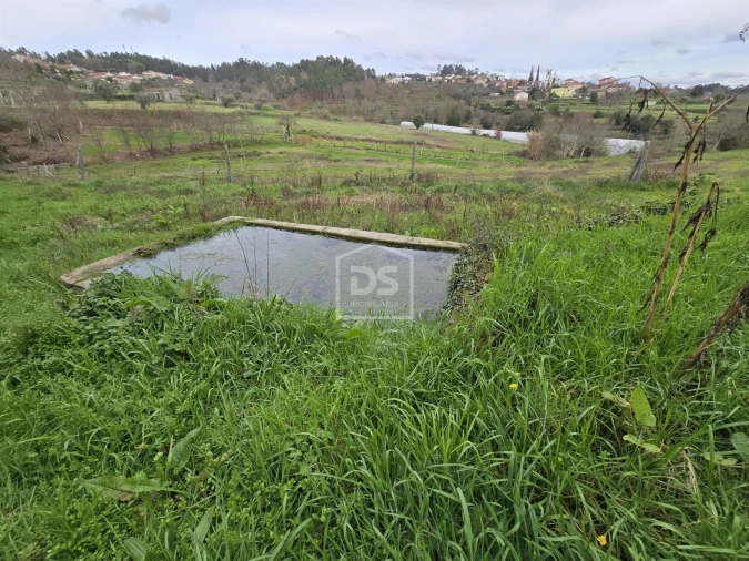 Terreno Misto para Venda em São Pedro do Sul, Várzea e Baiões Foto 7
